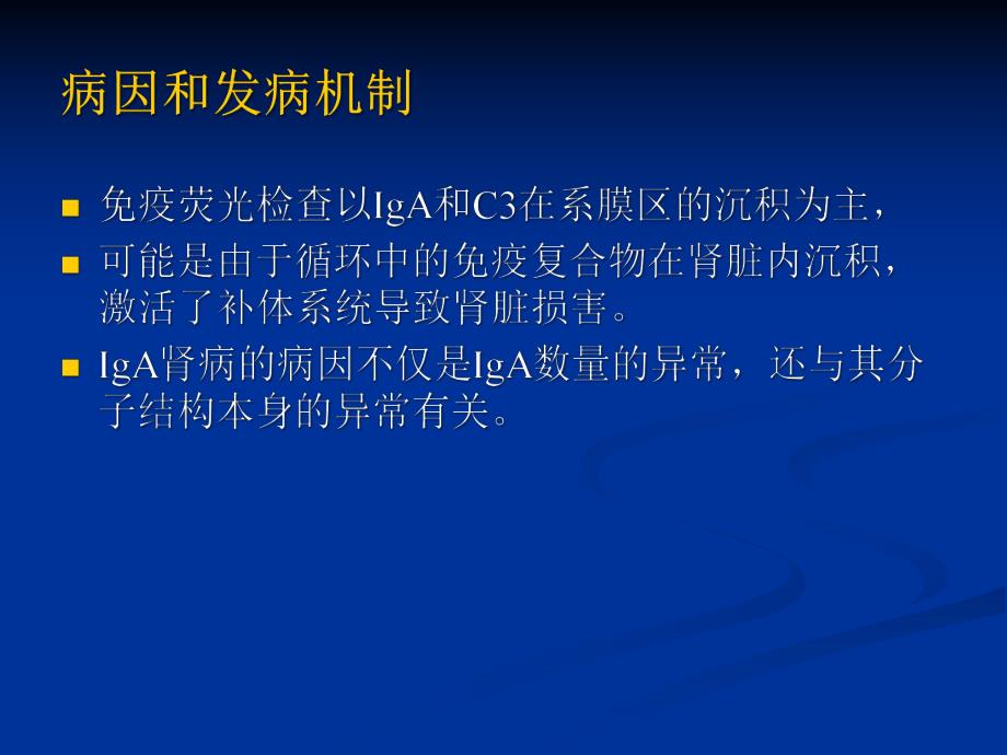 医学资料iga肾病新版.ppt_第3页