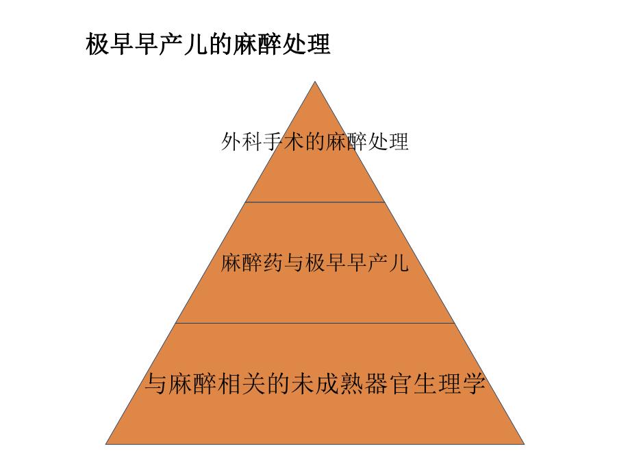 极早早产儿的麻醉处理.ppt_第2页