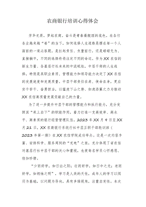 农商银行培训心得体会.docx