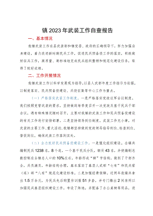 镇2023年武装工作自查报告.docx