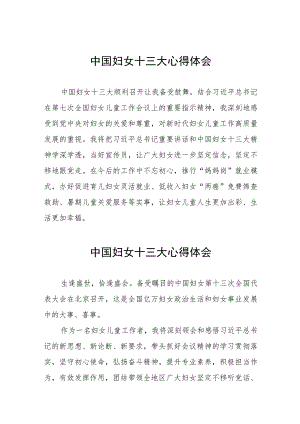 妇女干部学习中国妇女第十三次全国代表大会精神心得体会发言稿十六篇.docx