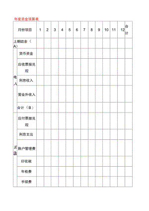 年度资金预算表.docx