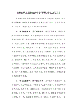 镇长在镇主题教育集中学习研讨会议上的发言范文.docx