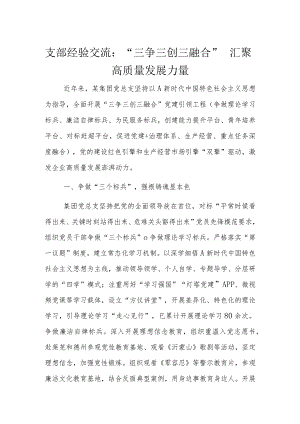 支部经验交流：“三争三创三融合”汇聚高质量发展力量.docx