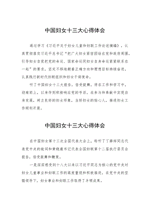 (十二篇)中国妇女十三大学习体会.docx