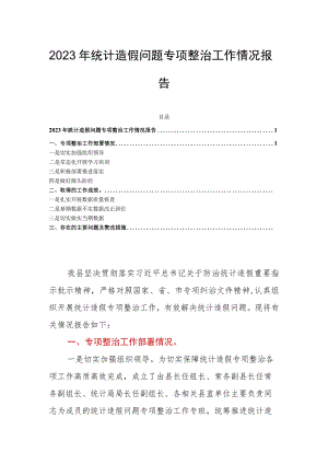 2023年统计造假问题专项整治工作情况报告.docx