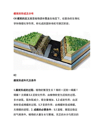 煤炭的形成及分布.docx