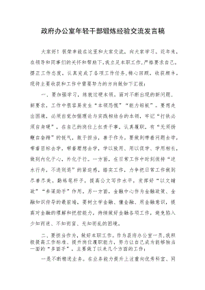 政府办公室年轻干部锻炼经验交流发言稿3篇.docx