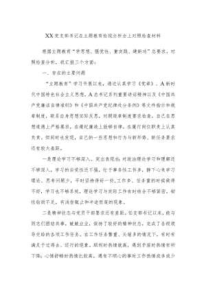 XX党支部书记在主题教育检视分析会上对照检查材料.docx