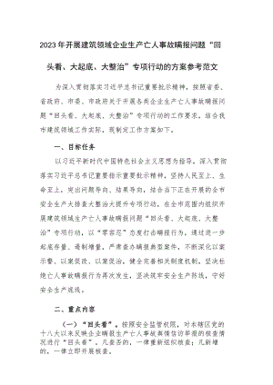 2023年开展建筑领域企业生产亡人事故瞒报问题“回头看、大起底、大整治”专项行动的方案参考范文.docx