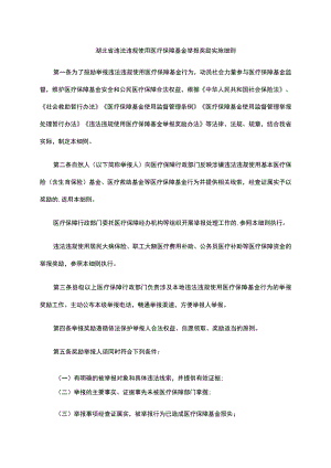 湖北省违法违规使用医疗保障基金举报奖励实施细则.docx