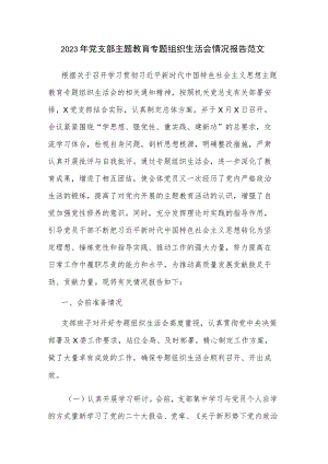 2023年党支部主题教育专题组织生活会情况报告范文.docx