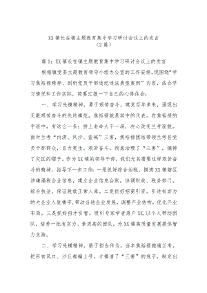 (2篇)XX镇长在镇主题教育集中学习研讨会议上的发言.docx