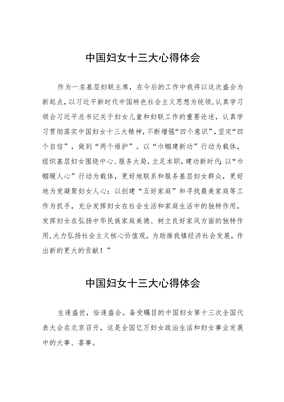 (十二篇)妇女干部学习中国妇女十三大精神的心得体会.docx_第1页