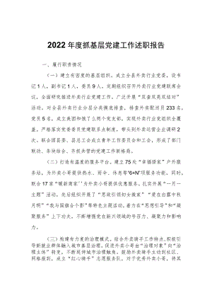 2022年度抓基层党建工作述职报告.docx