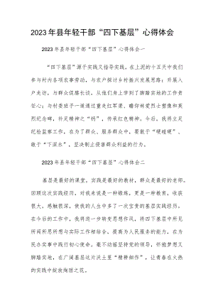 2023年县年轻干部“四下基层”心得体会.docx