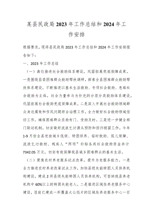 某县民政局2023年工作总结和2024年工作安排.docx