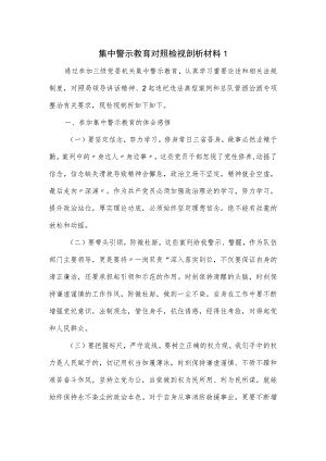 集中警示教育对照检视剖析材料一.docx