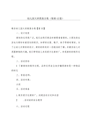 幼儿园大班教案合集(集锦12篇).docx