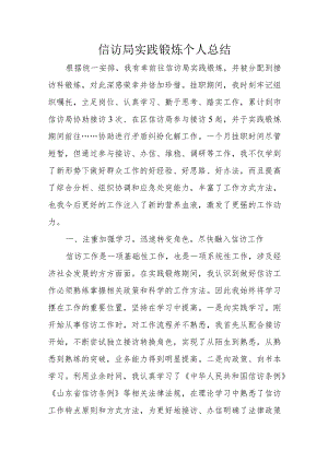 信访局实践锻炼个人总结.docx