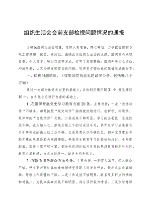 组织生活会会前支部检视问题情况的通报..docx