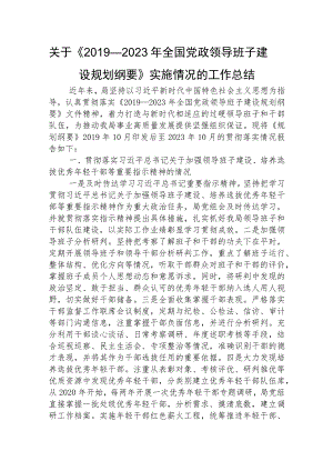 《2019—2023年全国党政领导班子建设规划纲要》实施情况的工作总结3800字.docx