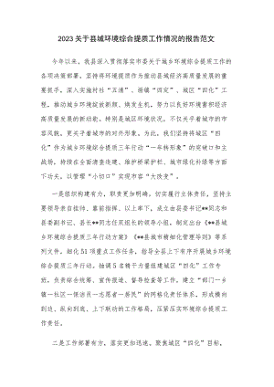 2023关于县城环境综合提质工作情况的报告范1.docx