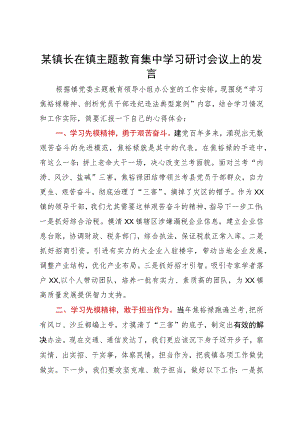 某镇长在镇主题教育集中学习研讨会议上的发言.docx