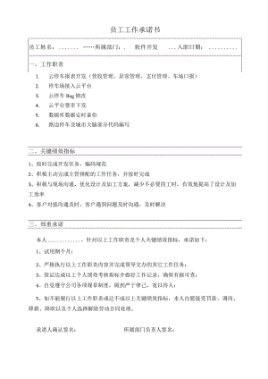 员工工作承诺书（软件开发）.docx