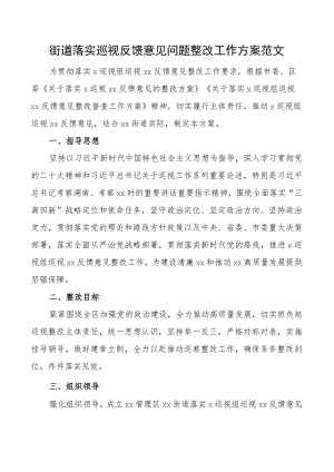 x反馈意见问题整改工作方案视察.docx
