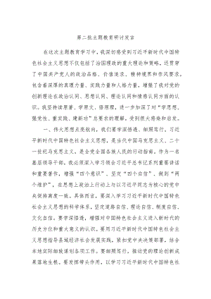 第二批主题教育研讨发言例文参考.docx