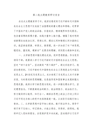 第二批主题教育研讨发言材料范文例文.docx