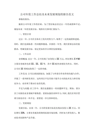 公司年度工作总结及未来发展规划的报告范文.docx
