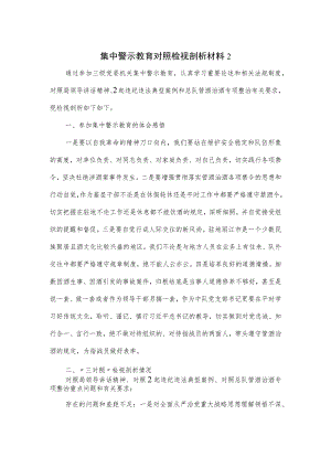 集中警示教育对照检视剖析材料二.docx