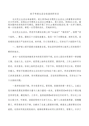 班子考核生活会检查剖析发言.docx