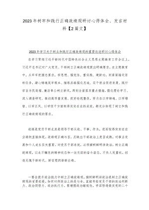 2023年树牢和践行正确政绩观研讨心得体会、发言材料【2篇文】.docx