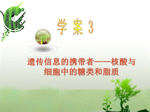 第4节遗传信息的携带者——核酸与细胞中的糖类和脂质.ppt