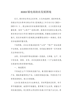 XX镇电商助农发展困境.docx