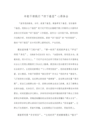 年轻干部践行“四下基层”心得体会.docx