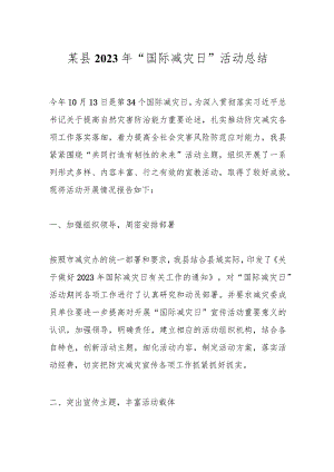某县2023年“国际减灾日”活动总结.docx