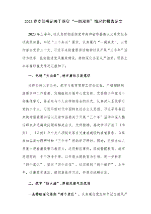 2023党支部书记关于落实“一岗双责”情况的报告范文.docx