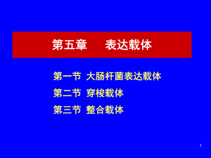 第5章表达载体.ppt