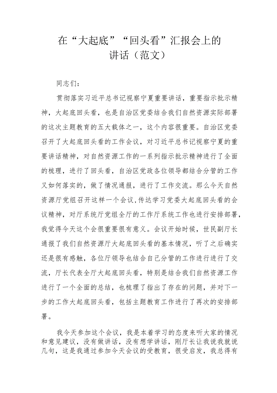 在“大起底”“回头看”汇报会上的讲话(范文）.docx_第1页