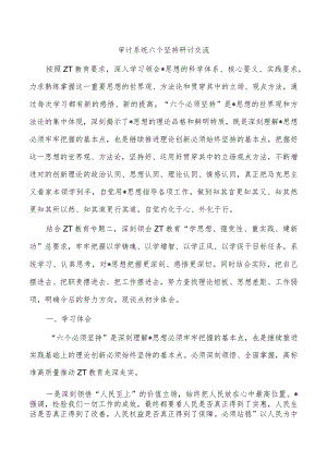审计系统六个坚持研讨交流.docx