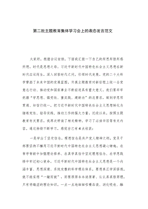 第二批主题教育集体学习会上的表态发言范文.docx
