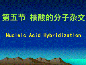 第5节核酸的分子杂交.ppt