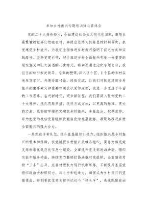 参加乡村振兴专题培训班心得体会.docx