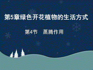 第4节蒸腾作用.ppt