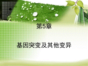 第5章基因突变及其他变异名师编辑PPT课件.ppt