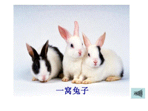 第5章第1节基因突变和基因重组.ppt